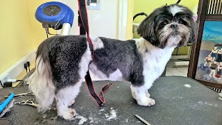 Top Dog Groomers