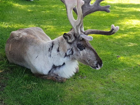 Feadon Wildlife & Education Centre