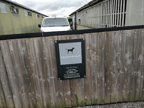 The Country Mutt Dog Day Care