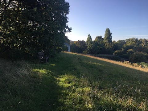 Cuckney Water Meadows