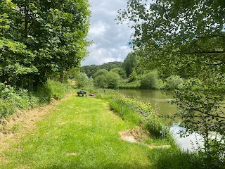 Ravenfield Ponds