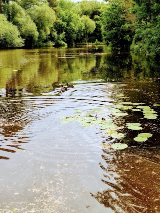 Ham Green Lake