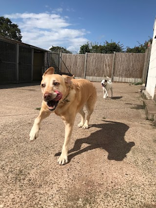 Five Oaks Boarding Kennels