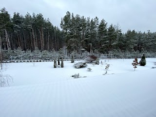 Мисливське ранчо Альянс