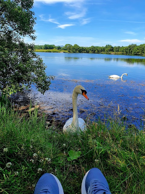 Musselburgh Lagoons