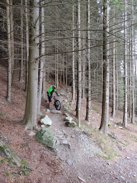 Castlewellan Mountain Bike Trails