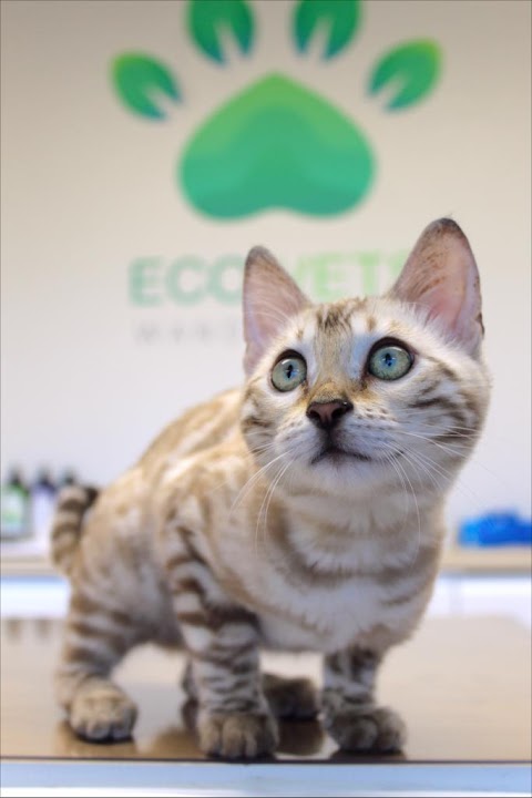 Eco Vets Wandsworth