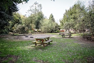 Sandfield Natural Play Centre