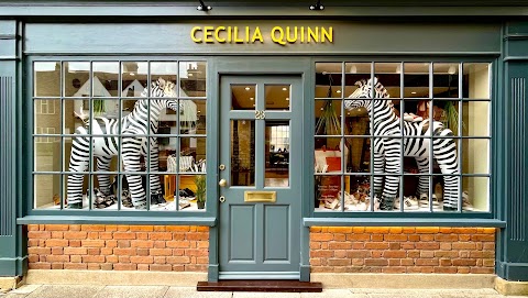 Cecilia Quinn Shoe Boutique