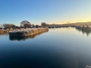 Stamford Way Fisheries