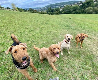 Pawsitively Happy Dogs