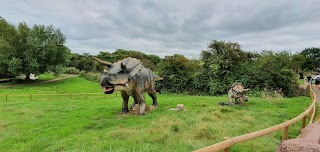 Avon Valley Adventure Park Campsite