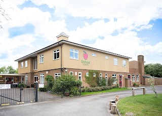 Orchard School and Nursery