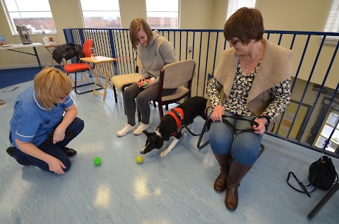 Orchard Veterinary Centre