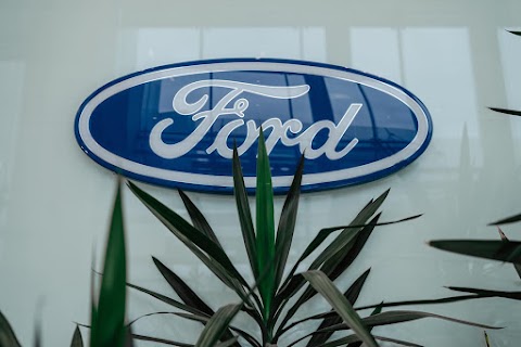 Ford Winner Automotive