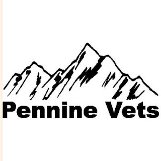 Pennine Vets - Harwood