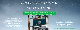Bira International Institute - BII Openlearning.com