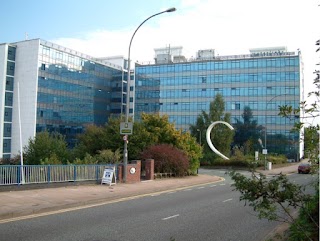 King Solomon International Business School