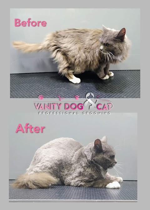 Vanity Dog and Cat Professional Grooming