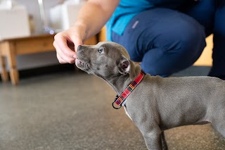 Fenaghy Veterinary Clinic