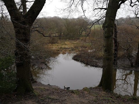 Brotherton Park and Dibbinsdale Local Nature Reserve