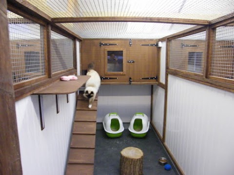 Little Hay Cattery