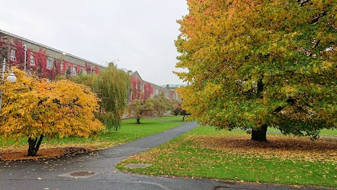 St Patrick's Pontifical University, Maynooth