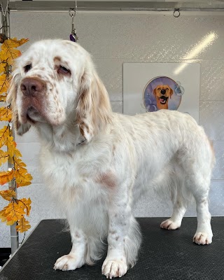 Muddy Maples Dog Grooming