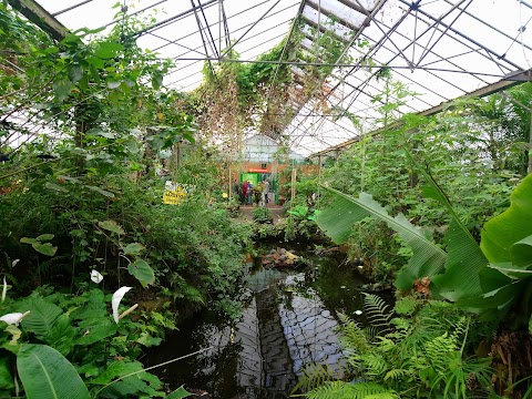 Edinburgh Butterfly & Insect World