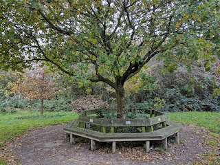 Edwin's Commemorative Garden