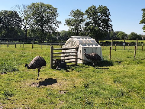 Attwell Farm Park