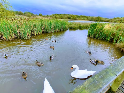 Greenhead Moss Nature Reserve