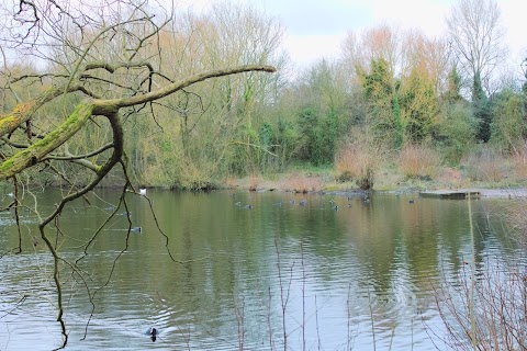 Plantsbrook Local Nature Reserve