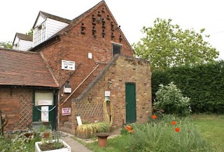 Hall Farm Cattery