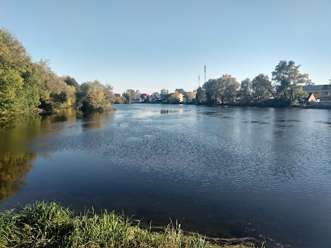 Городоцький став