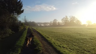 Bank Top Farm