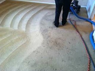 Deep Clean Carpet Cleaning Hull