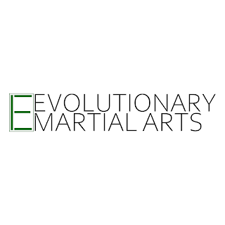 Evolutionary Martial Arts