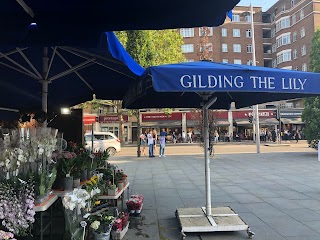 Gilding the Lily