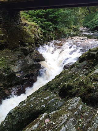 Camping Tollymore Forest Park