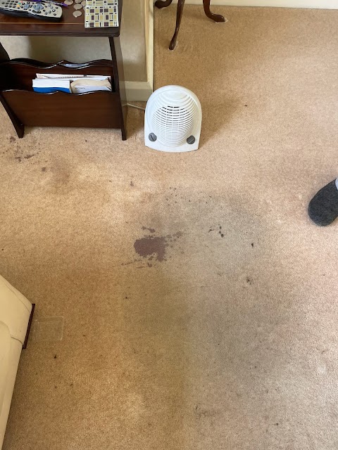 Olympus Carpet Cleaning Stockport