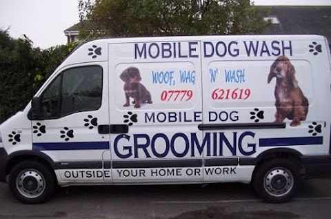 Pet Salon & Spa Groomer