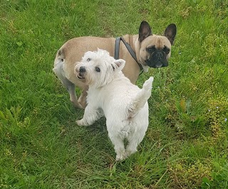 Henry's Walking Pals