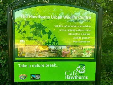 Hawthorns Urban Wildlife Centre
