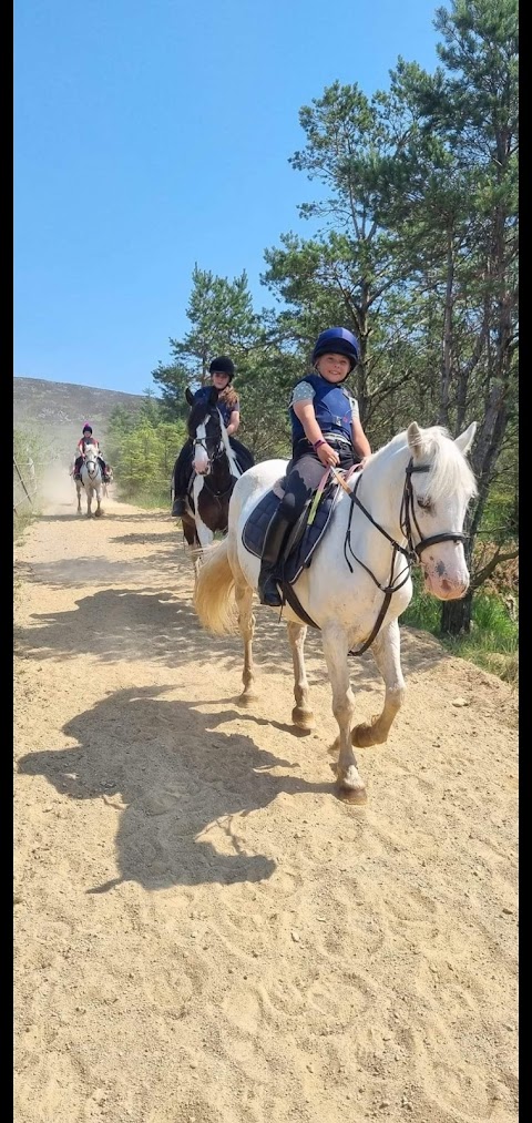 Gamekeepers Lodge Equestrian Centre