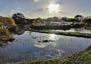 Maple Lodge Nature Reserve