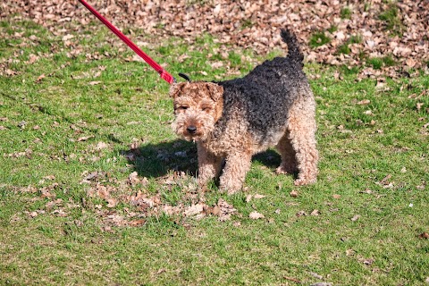 Pawfoot Sutton Coldfield