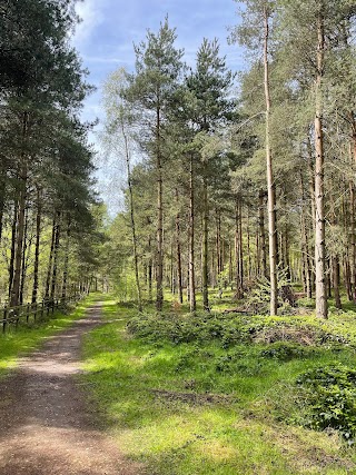 Go Ape Sherwood - Nets Adventure