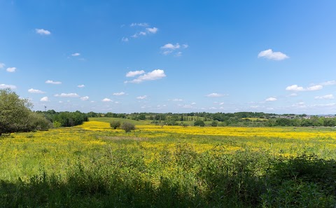 Reddish Vale Country Park