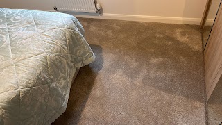 Carpet Repair Services